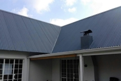peaker roof repairs